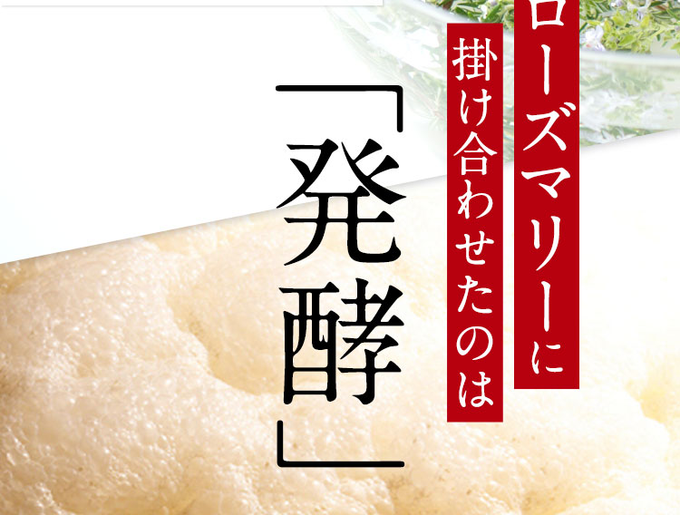 このローズマリーに掛け合わせたのは「発酵」