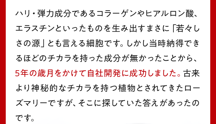 ハリ・弾力成分であるコラーゲンやヒアルロン酸、エラスチンといったものを生み出すまさに「若々しさの源」とも言える細胞です。しかし当時納得できるほどのチカラを持った成分が無かったことから、5年の歳月をかけて自社開発に成功しました。古来より神秘的なチカラを持つ植物とされてきたローズマリーですが、そこに探していた答えがあったのです。