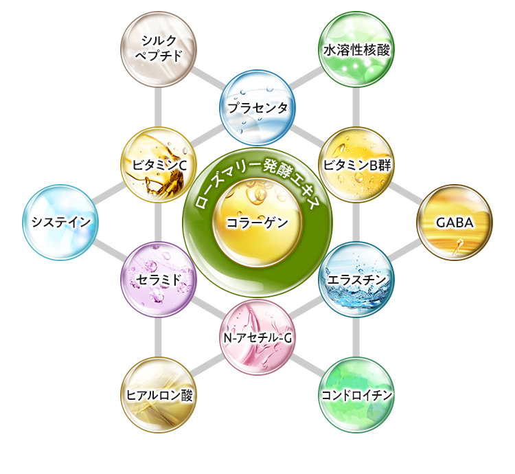 成分表のイメージ