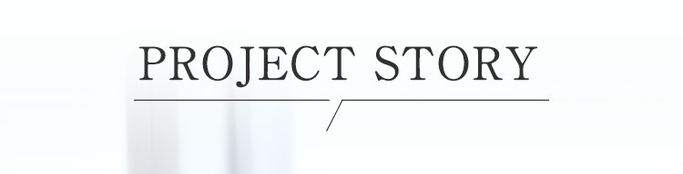 PROJECT STORY